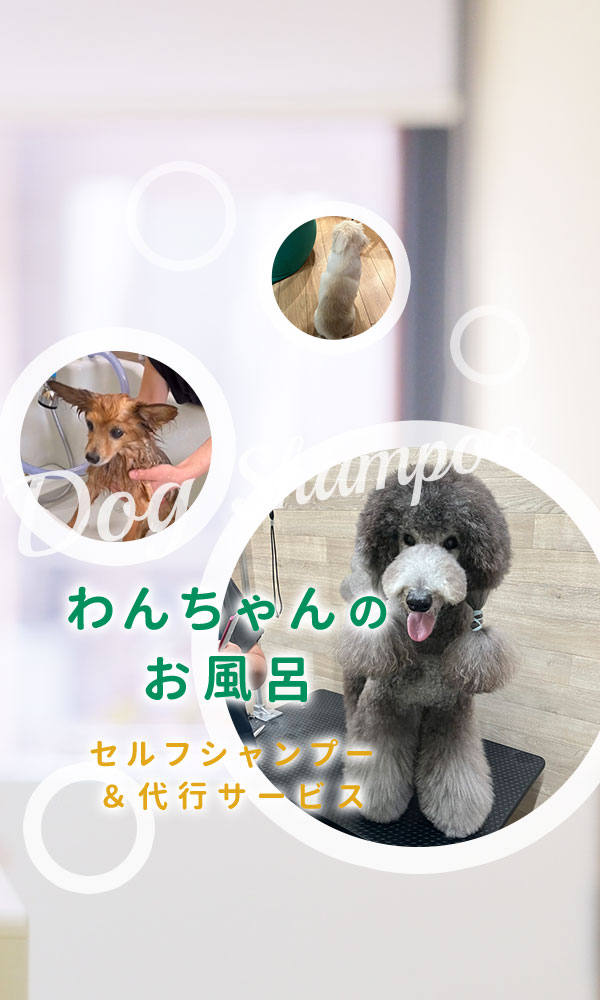 セルフ 犬 シャンプー 販売済み